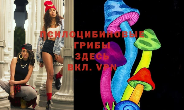 дурь Алексин