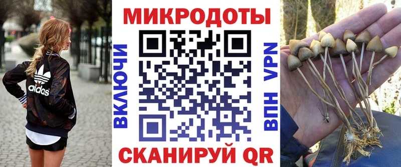 hydra зеркало  Андреаполь  Галлюциногенные грибы Psilocybine cubensis 